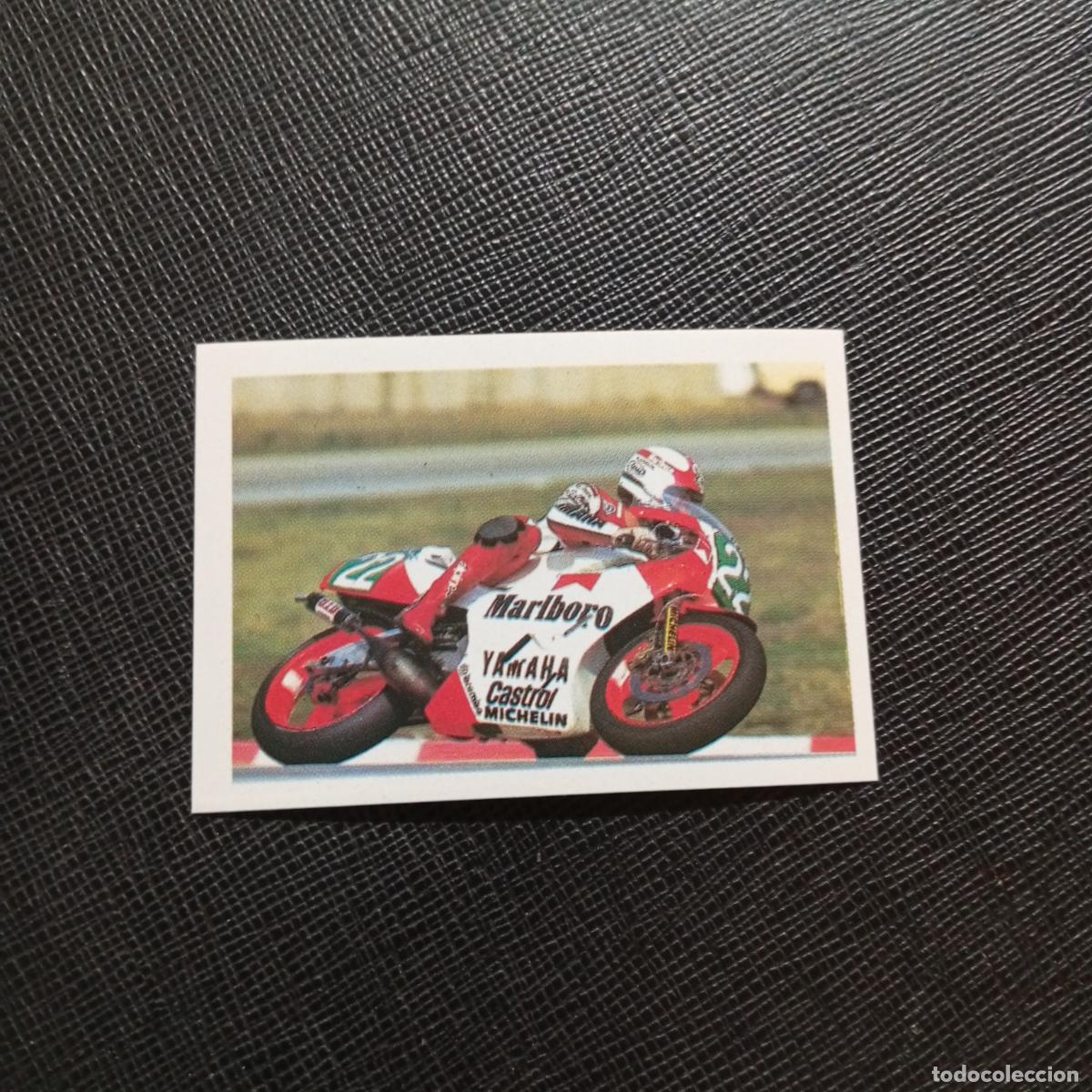 Collectionnisme sportif: 137 LUCA CADALORA EUROFLASH SUPER GRAND PRIX 1988 CROMO 88 MOTOCICLISMO - SIN PEGAR - D