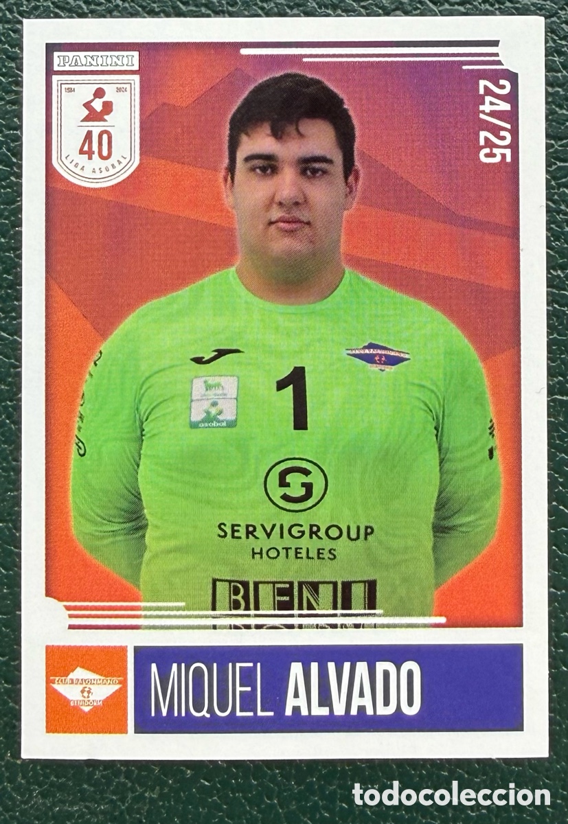 Colecionismo desportivo: 186 MIQUEL ALVADO SERVIGROUP HOTELES BENIDORM PANINI LIGA PLENITUDE ASOBAL 2024 2025 24 25