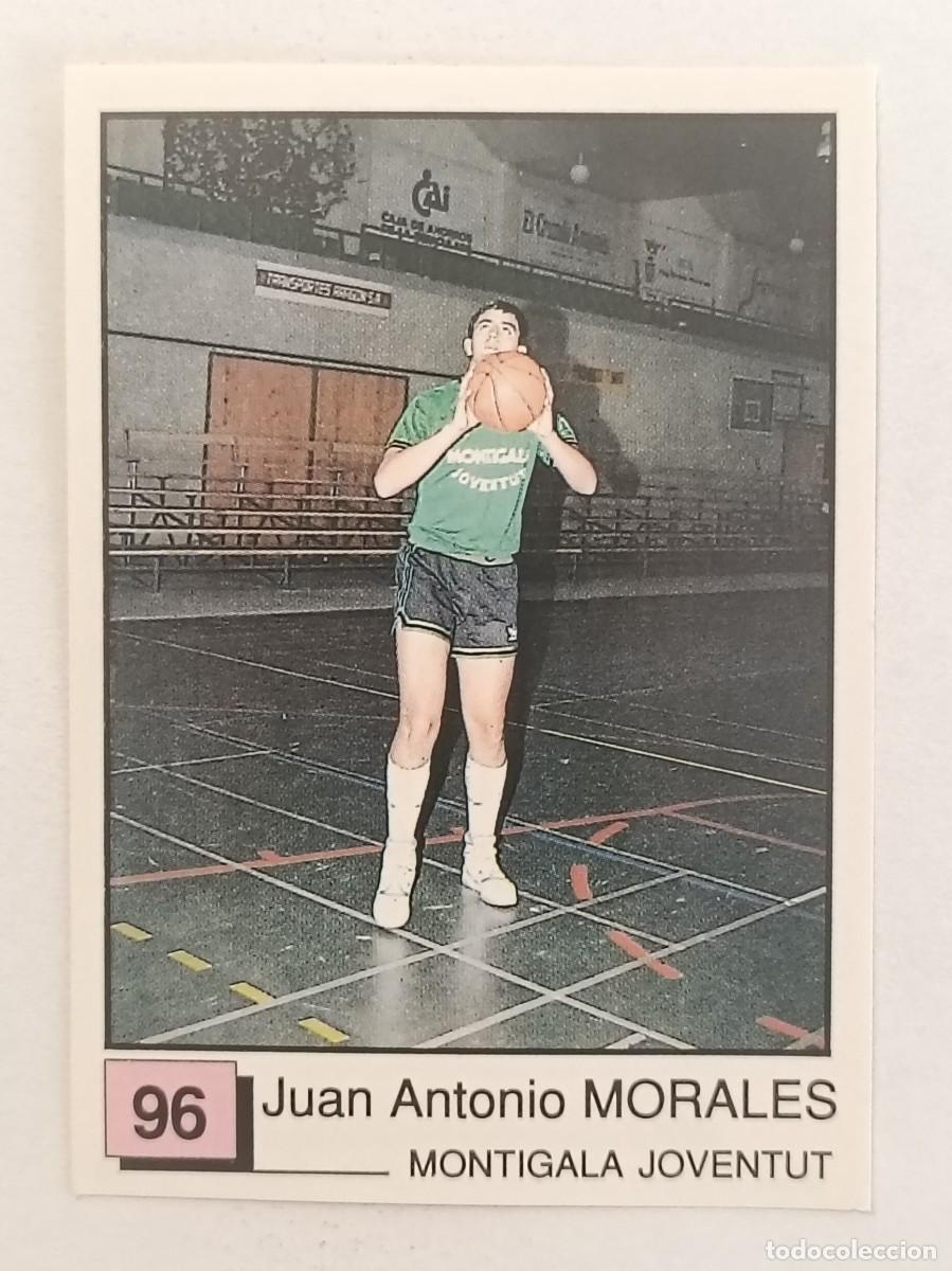 Coleccionismo deportivo: #96 MORALES (MONTIGALA JOVENTUT) BASKET 91 LIGA ACB PANINI