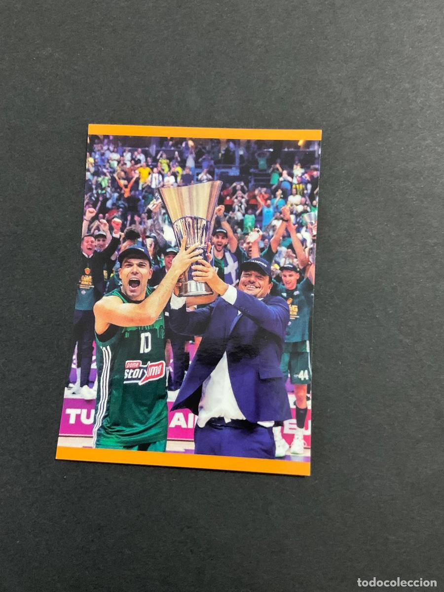 Coleccionismo deportivo: Panini Turkish Airlines Euroleague 2023 2024 Sticker n 423