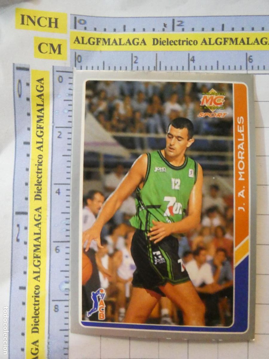 Coleccionismo deportivo: CROMO TARJETA BALONCESTO 33 JUANAN MORALES JOVENTUT BADALONA. ACB95 ACB 95 1995. MUNDI CROMO.