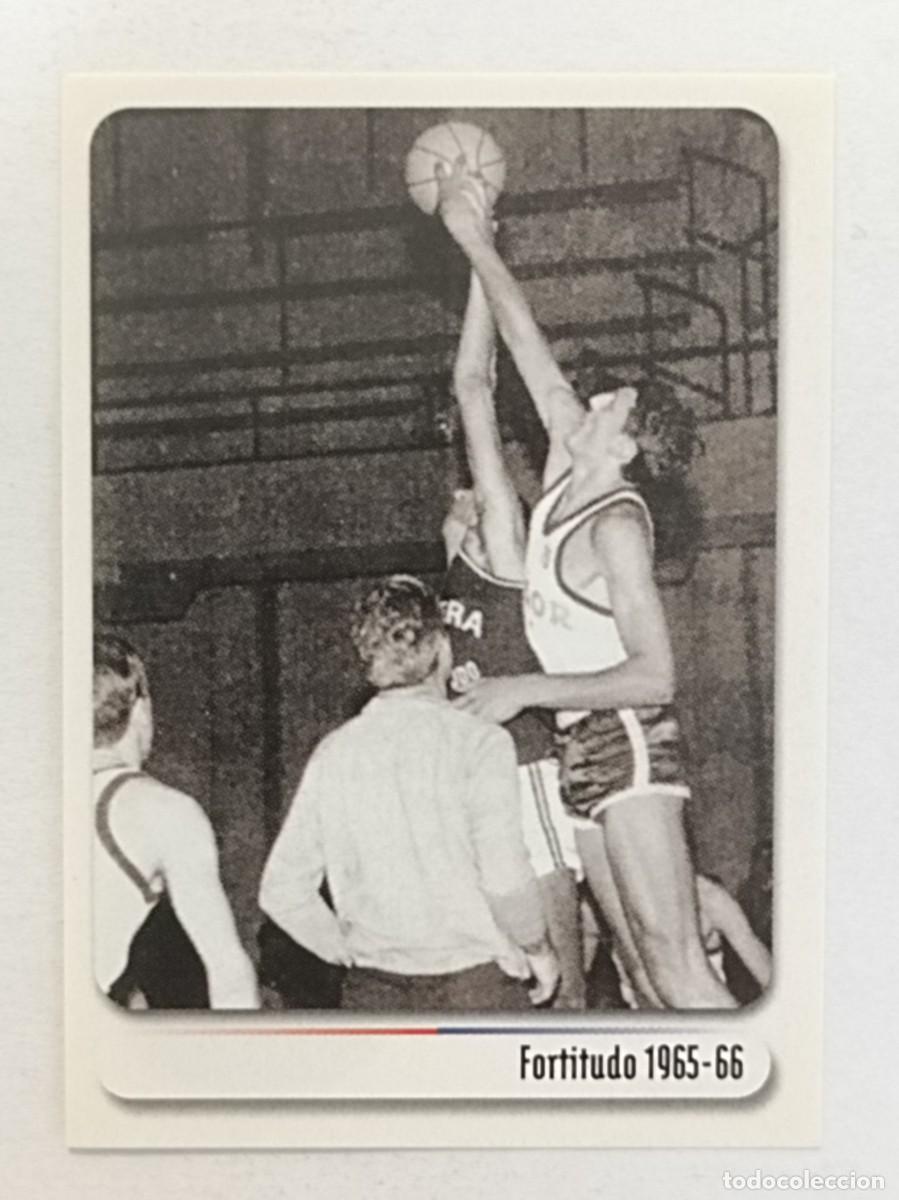 Coleccionismo deportivo: #37 FORTITUDO 1965-66 BOLOGNA CITTA DEL BASKET 2007 PANINI
