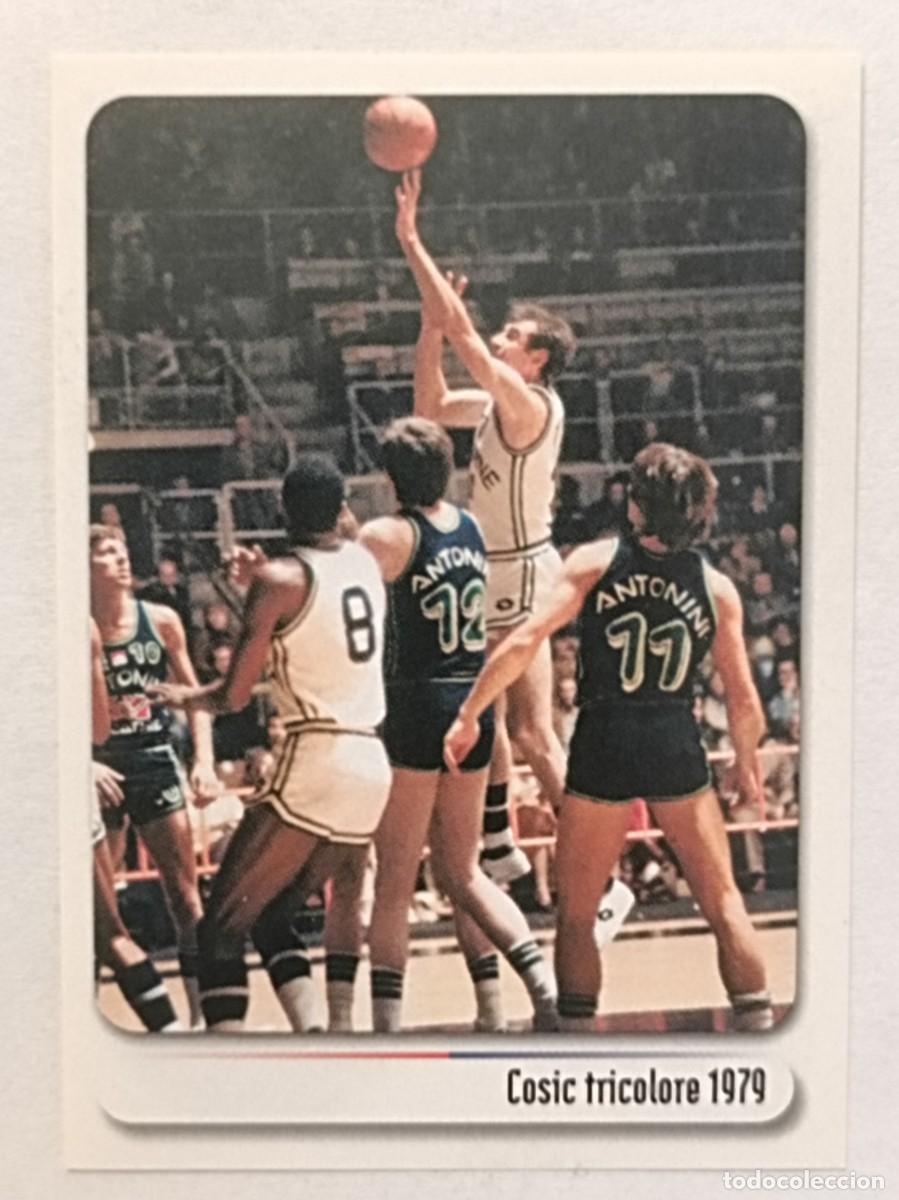Sports collectibles: #50 COSIC TRICOLOR 1979 BOLOGNA CITTA DEL BASKET 2007 PANINI