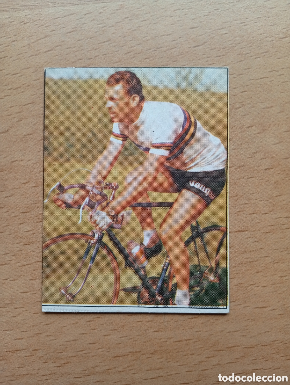 Sports collectibles: CROMO VUELTA CICLISTA: N&ordm; 163 RIK VAN STEENBERGEN - ASES INTERNACIONALES PEDAL - MERCHANTE 1985
