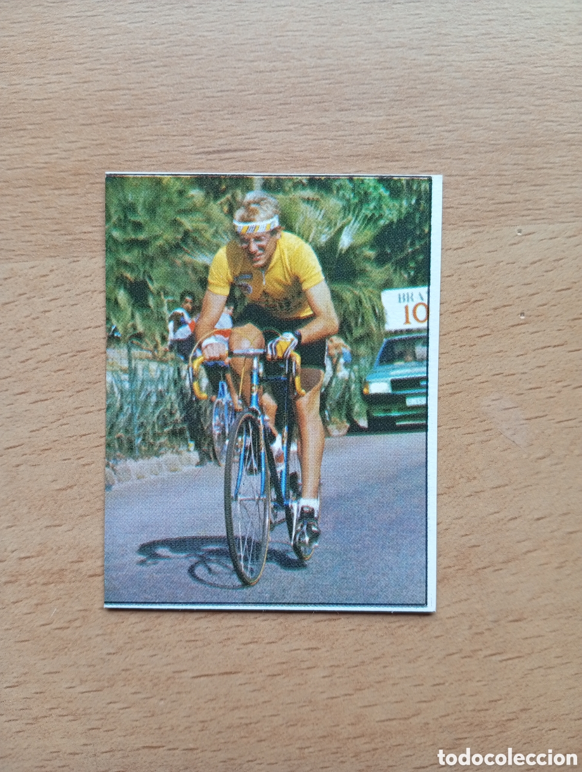 Colecionismo desportivo: CROMO VUELTA CICLISTA: N&ordm; 12 FIGNON - ASES INTERNACIONALES PEDAL - MERCHANTE 1985