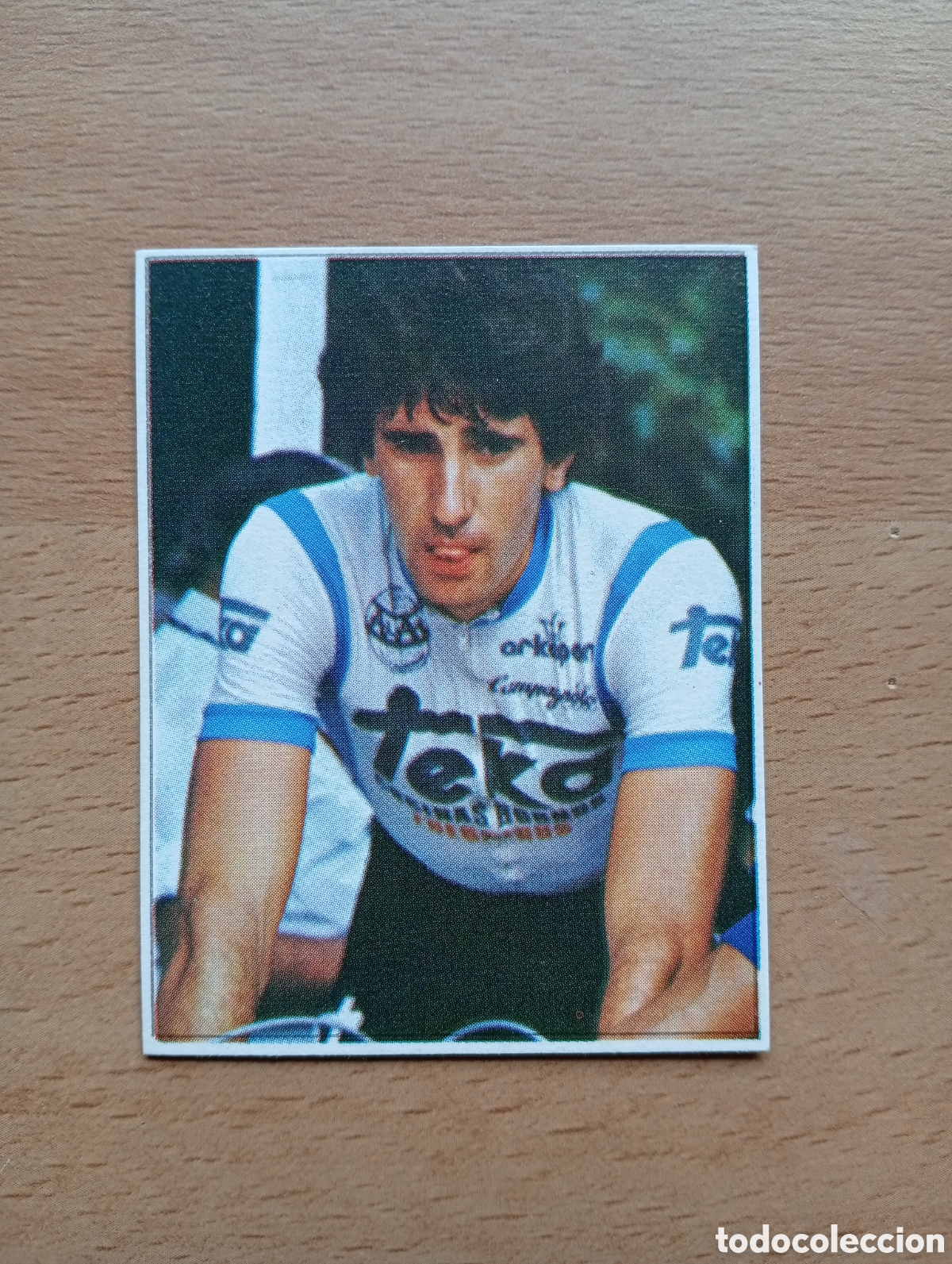Collectionnisme sportif: CROMO VUELTA CICLISTA: N&ordm; 50 F. ETXABE - ASES INTERNACIONALES PEDAL - MERCHANTE 1985