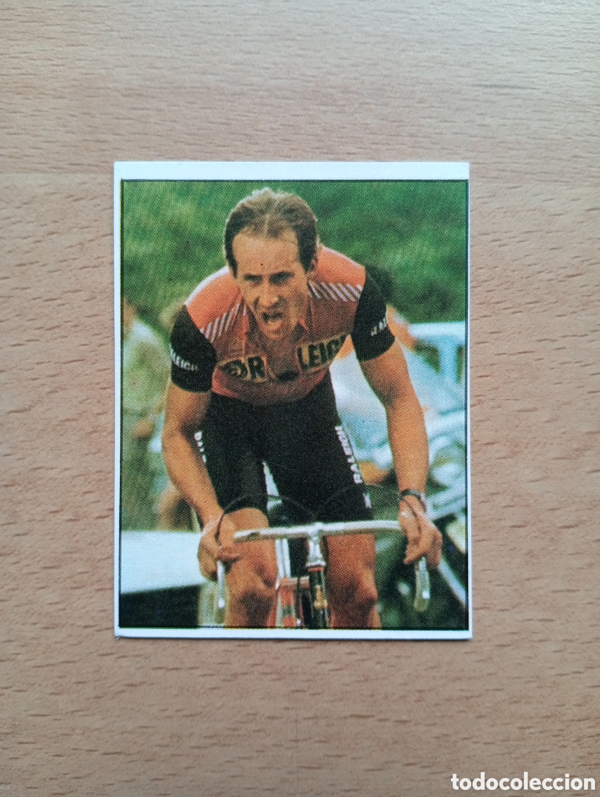 Coleccionismo deportivo: CROMO VUELTA CICLISTA: N&ordm; 112 LUDO PEETERS - ASES INTERNACIONALES PEDAL - MERCHANTE 1985
