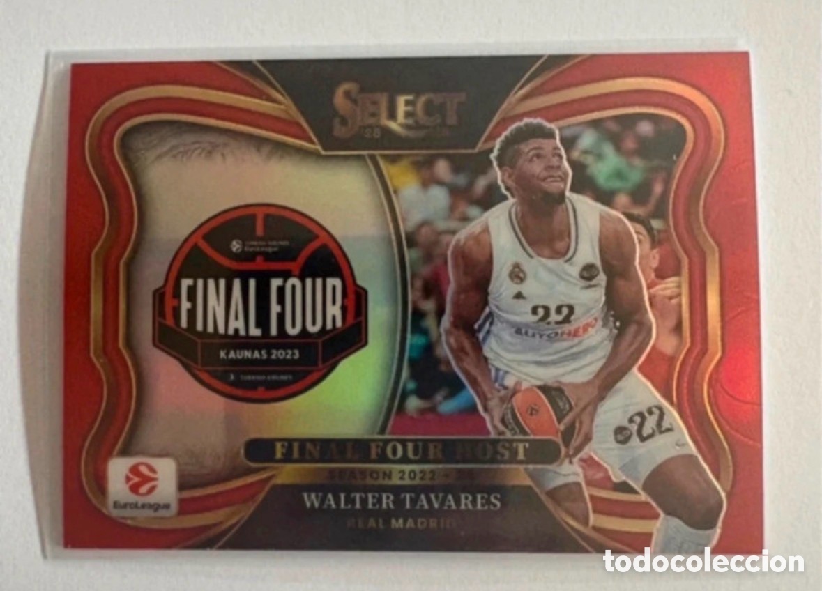Collezionismo sportivo: Walter Tavares Final Four Host Select 25-26 Euroleague Panini 88/99