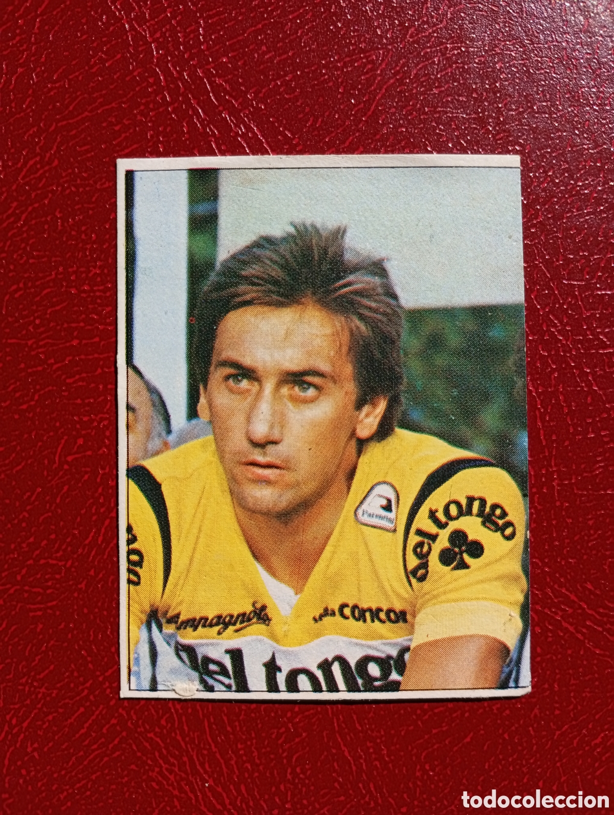 Collectionnisme sportif: CROMO VUELTA CICLISTA: N&ordm; 138 G. VAN CALSTER - ASES INTERNACIONALES PEDAL - MERCHANTE 1985