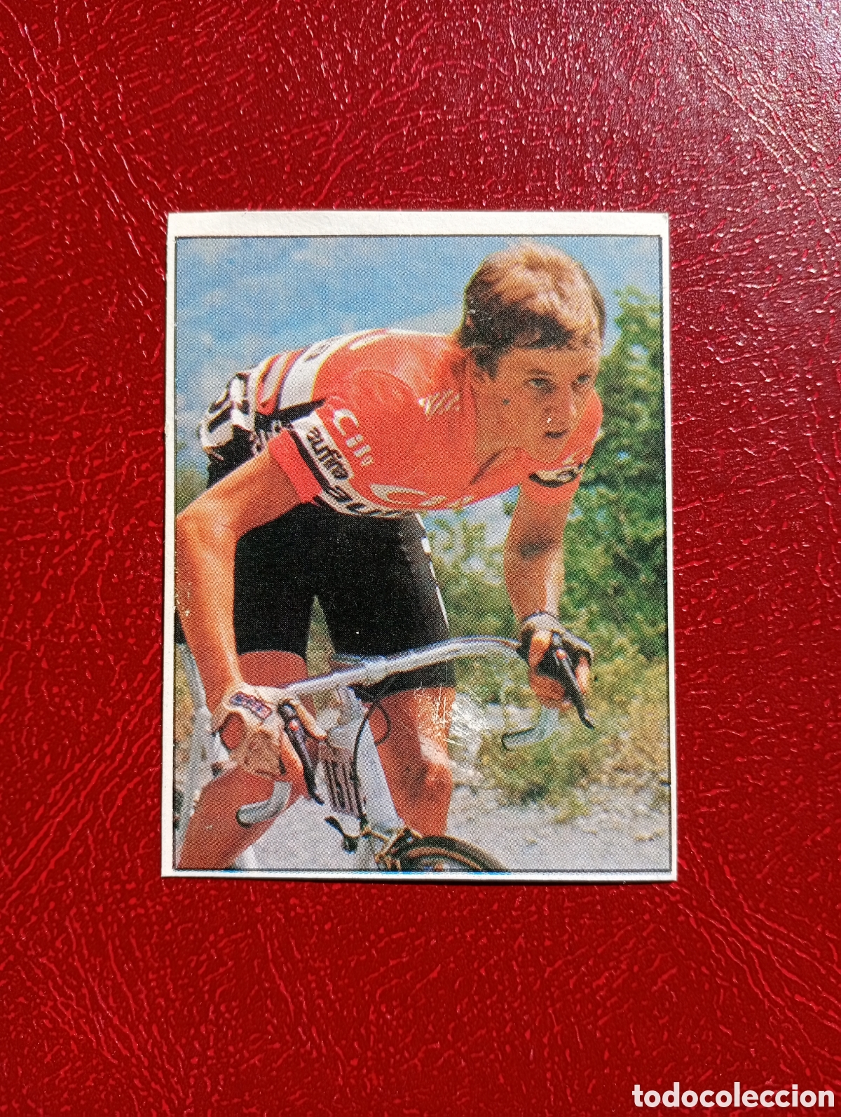 Collectionnisme sportif: CROMO VUELTA CICLISTA: N&ordm; 151 BEAT BREU - ASES INTERNACIONALES PEDAL - MERCHANTE 1985