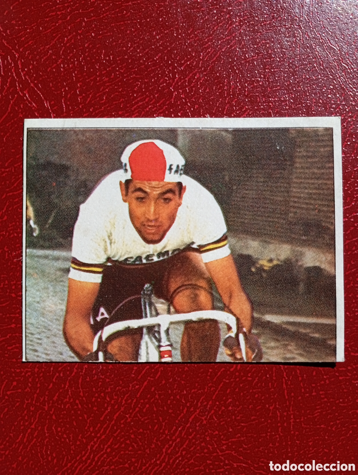 Coleccionismo deportivo: CROMO VUELTA CICLISTA: N&ordm; 174 EDDY MERCKX - ASES INTERNACIONALES PEDAL - MERCHANTE 1985