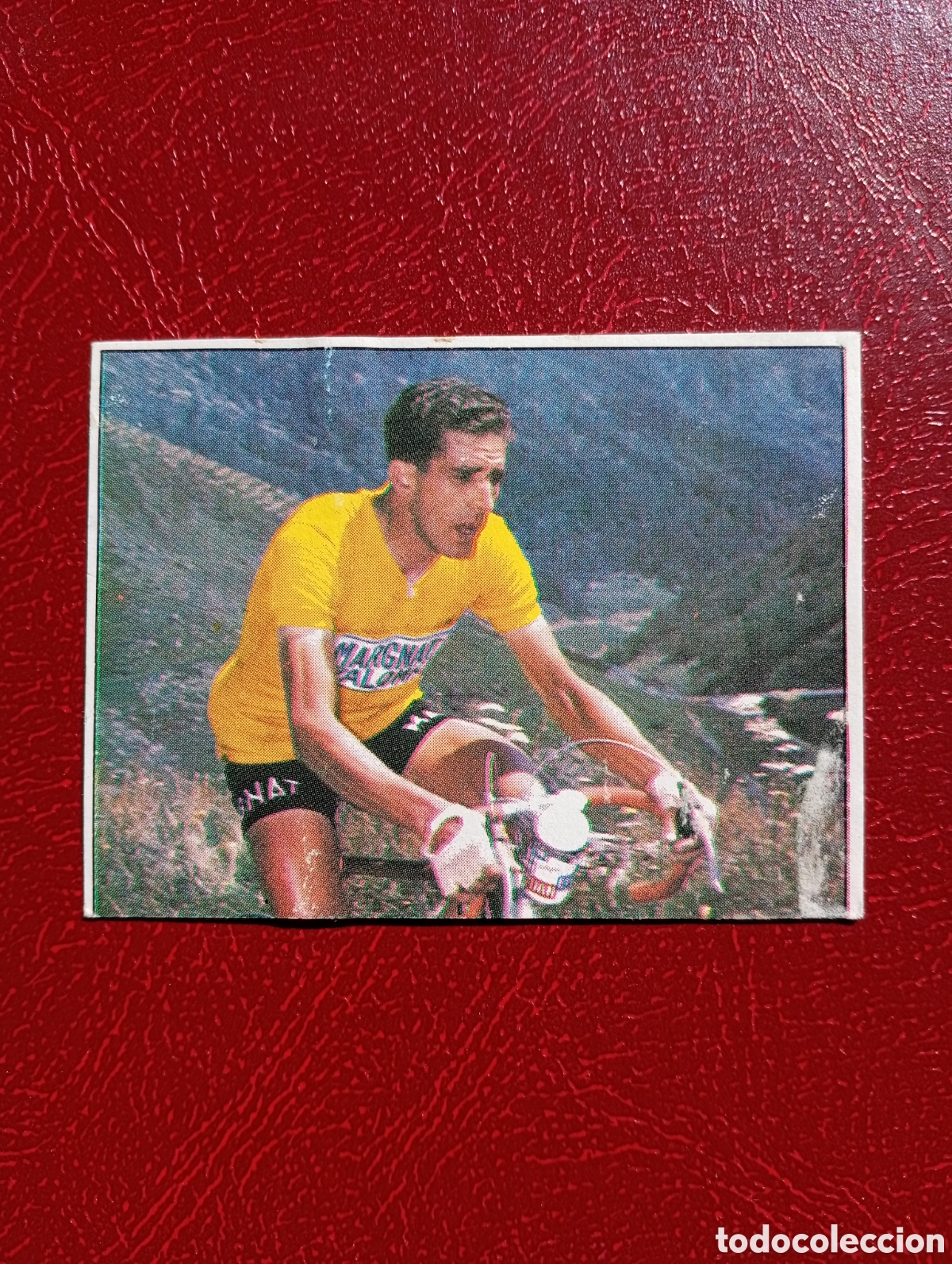 Sports collectibles: CROMO VUELTA CICLISTA: N&ordm; 181 BAHAMONTES - ASES INTERNACIONALES PEDAL - MERCHANTE 1985