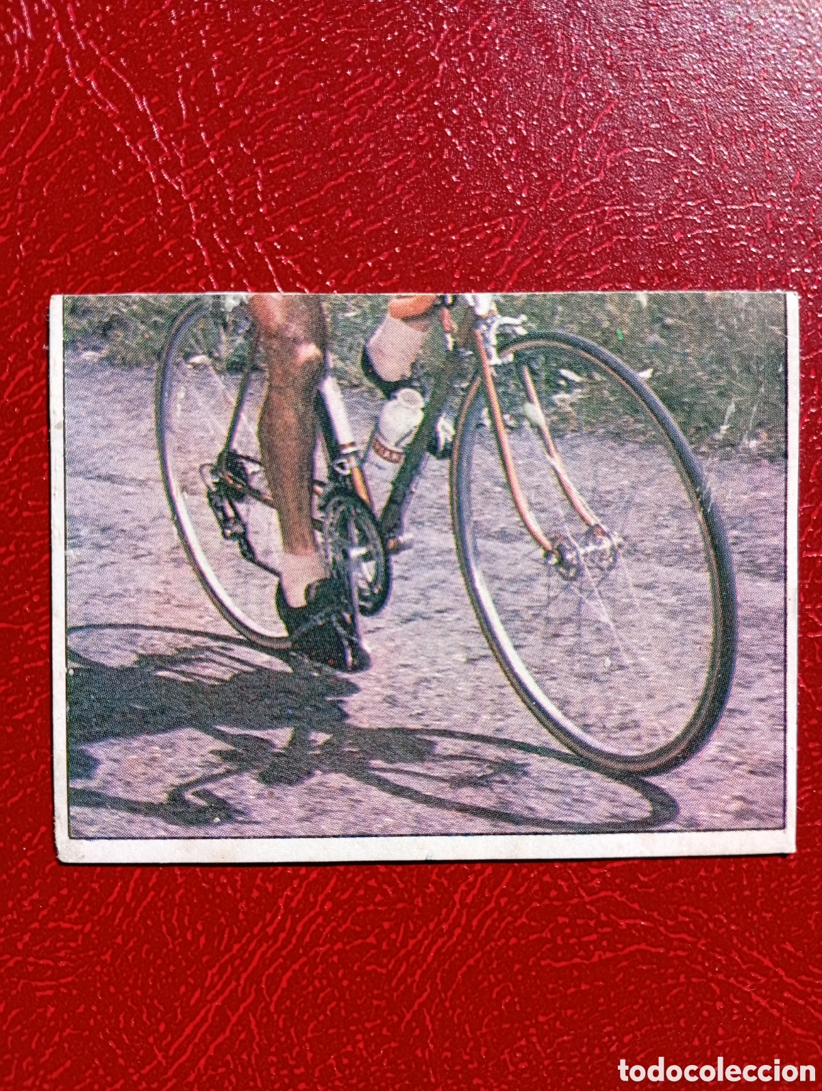 Sports collectibles: CROMO VUELTA CICLISTA: N&ordm; 182 BAHAMONTES - ASES INTERNACIONALES PEDAL - MERCHANTE 1985