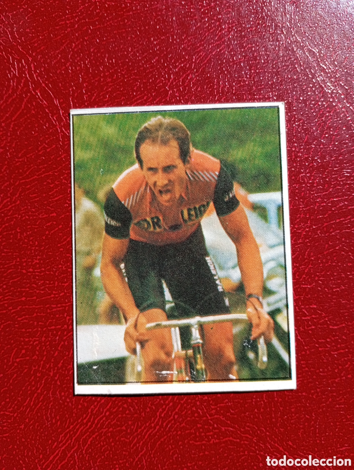 Collectionnisme sportif: CROMO VUELTA CICLISTA: N&ordm; 112 LUDO PEETERS - ASES INTERNACIONALES PEDAL - MERCHANTE 1985