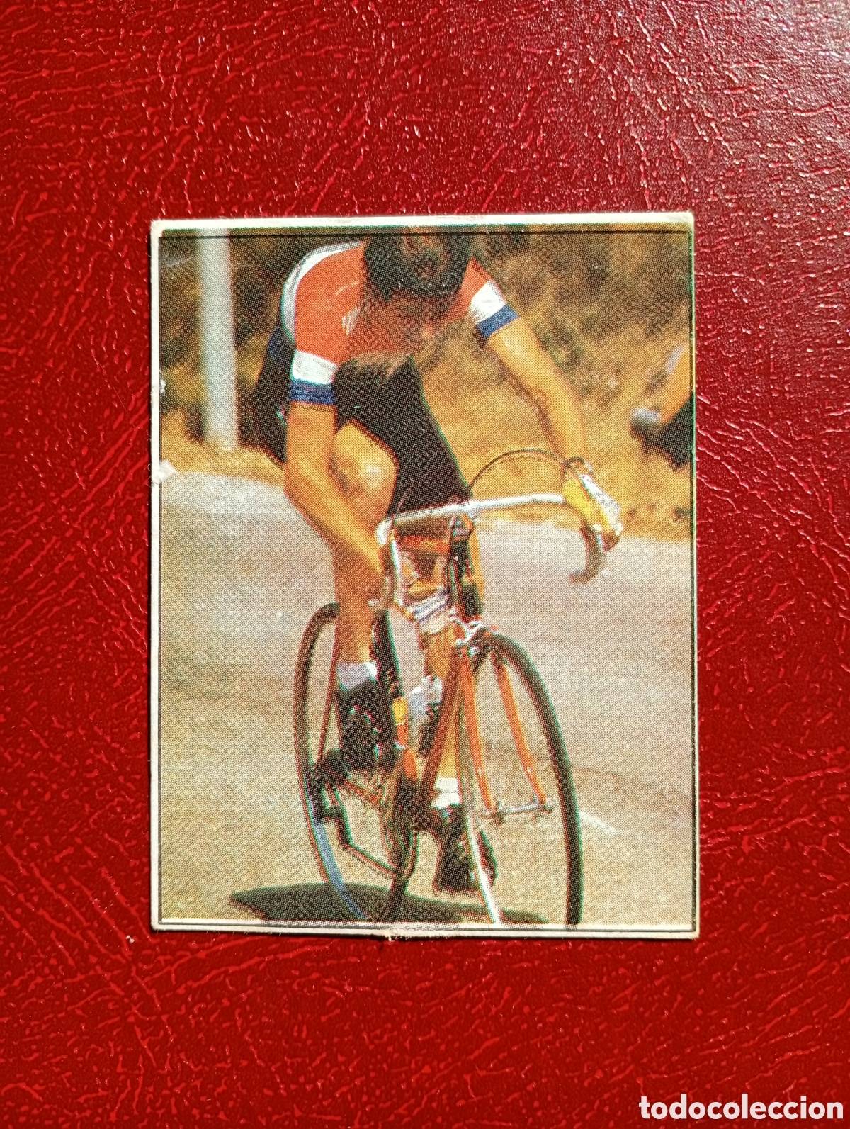 Collectionnisme sportif: CROMO VUELTA CICLISTA: N&ordm; 126 VAN DER VELDE - ASES INTERNACIONALES PEDAL - MERCHANTE 1985