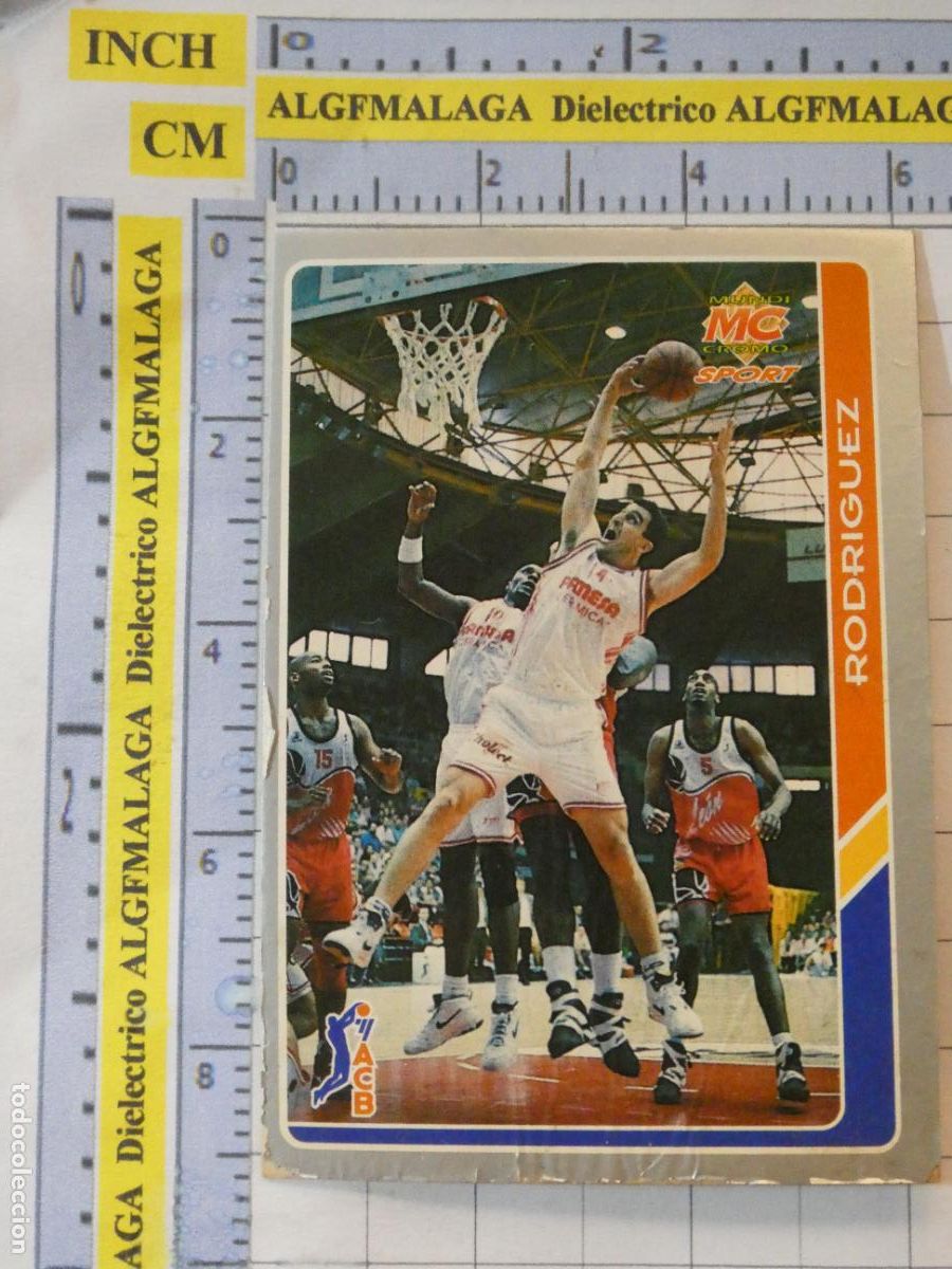 Sports collectibles: CROMO TARJETA DE BALONCESTO. 135 RODR&Iacute;GUEZ PAMESA VALENCIA BASKET ACB95 ACB 95 1995. MUNDI CROMO.