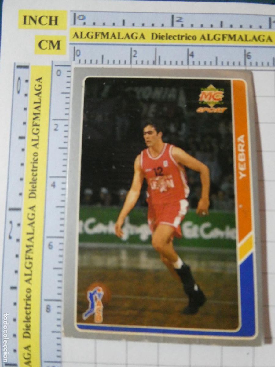 Coleccionismo deportivo: CROMO TARJETA DE BALONCESTO. 142 YEBRA BASKET LE&Oacute;N ACB95 ACB 95 1995. MUNDI CROMO.