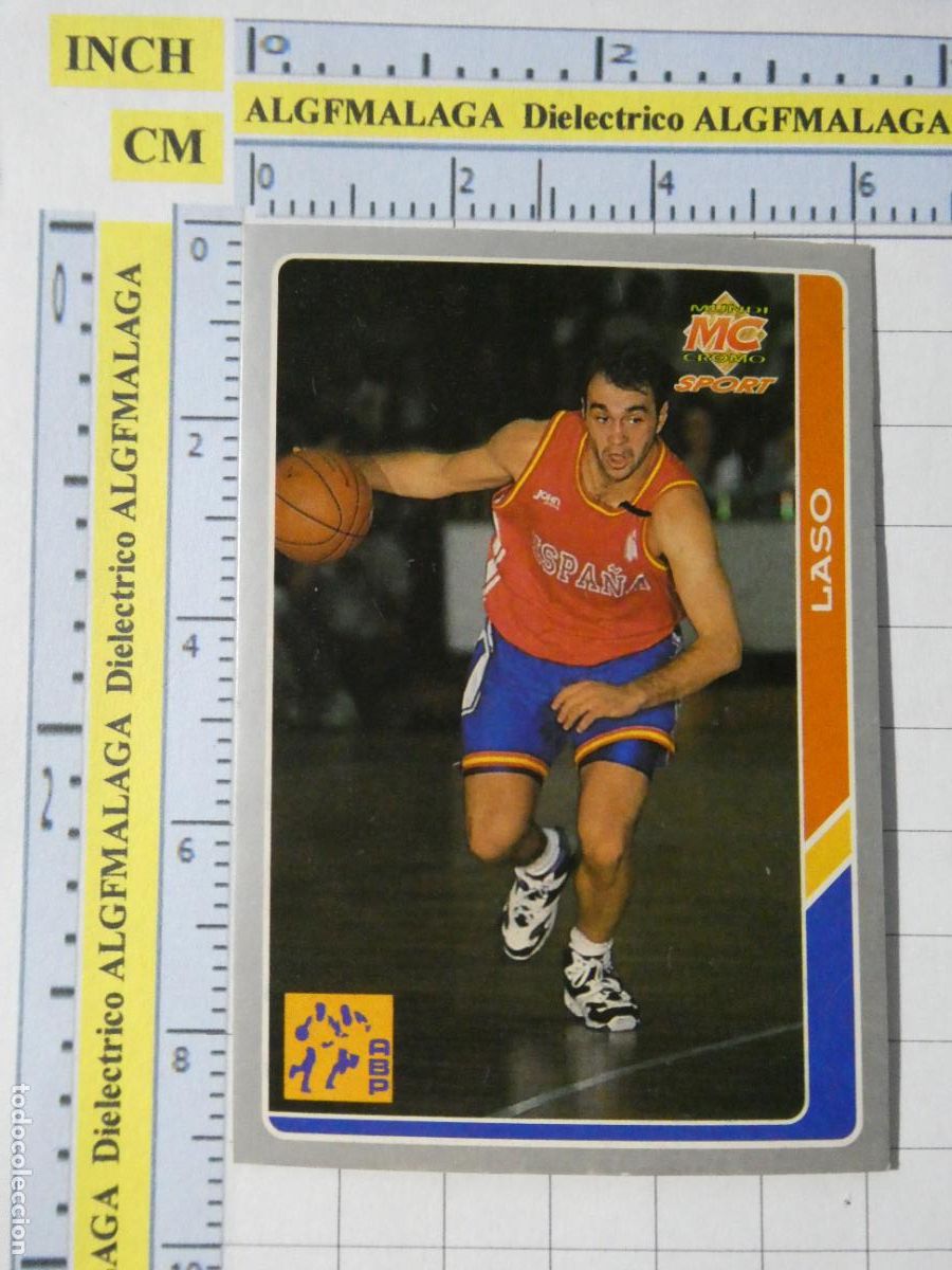Coleccionismo deportivo: CROMO TARJETA DE BALONCESTO. 209 PABLO LASO SELECCION ESPA&Ntilde;OLA ACB95 ACB 95 1995. MUNDI CROMO.