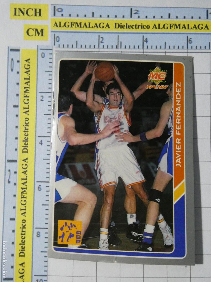 Coleccionismo deportivo: CROMO TARJETA DE BALONCESTO. 217 JAVIER FERN&Aacute;NDEZ SELECCION ESPA&Ntilde;OLA ACB95 ACB 95 1995. MUNDI CROMO.