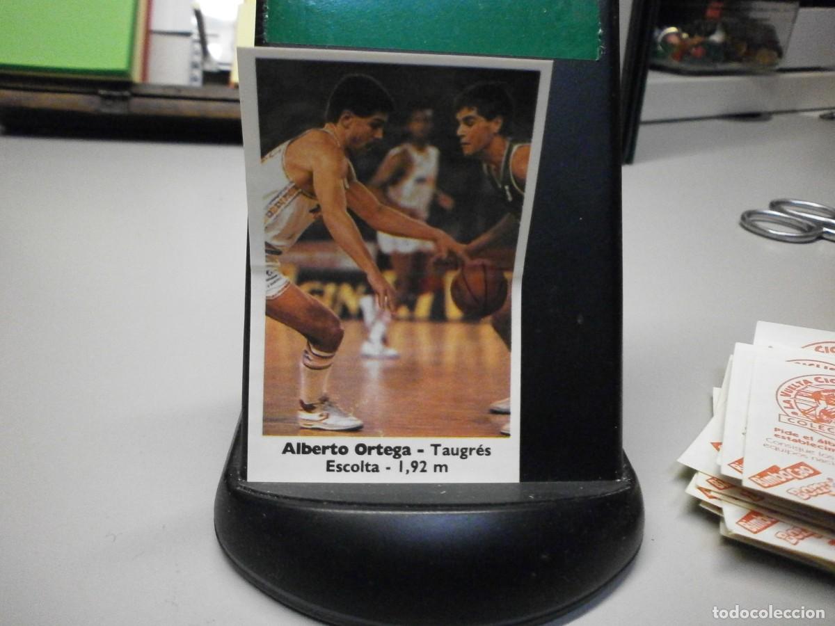 Coleccionismo deportivo: cromo bollycao basket 88 89