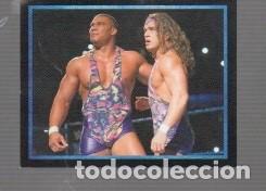 Sammelleidenschaft Sport: CROMO DE THE ULTIMATE COLLECTION DE TOPPS DEL A&Ntilde;O 2017 N&ordm; 15 NO ESTUVO PEGADO