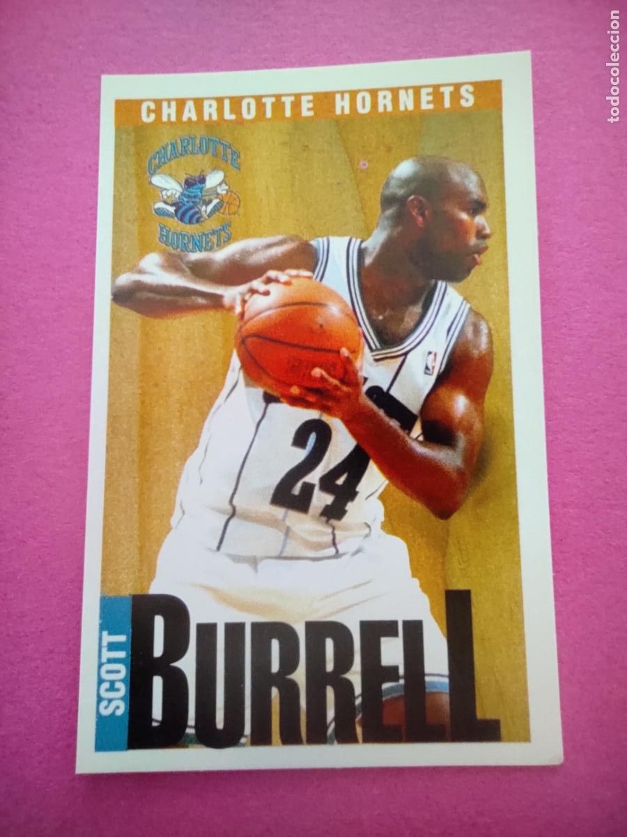 Coleccionismo deportivo: 77 - SCOTT BURRELL (CHARLOTTE HORNETS) 96 97 - CROMO PANINI NBA BASKETBALL 1996 1997