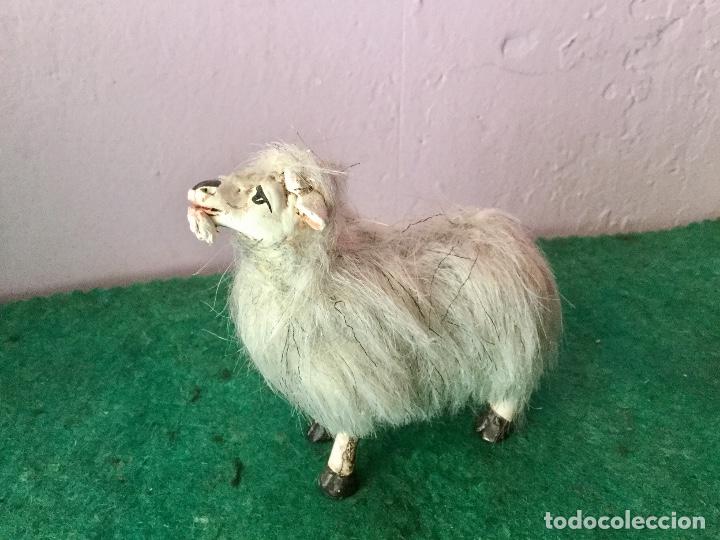 Statuine di Presepe: Cabra con pelo. Para bel&eacute;n de 21 cms. NICLA
