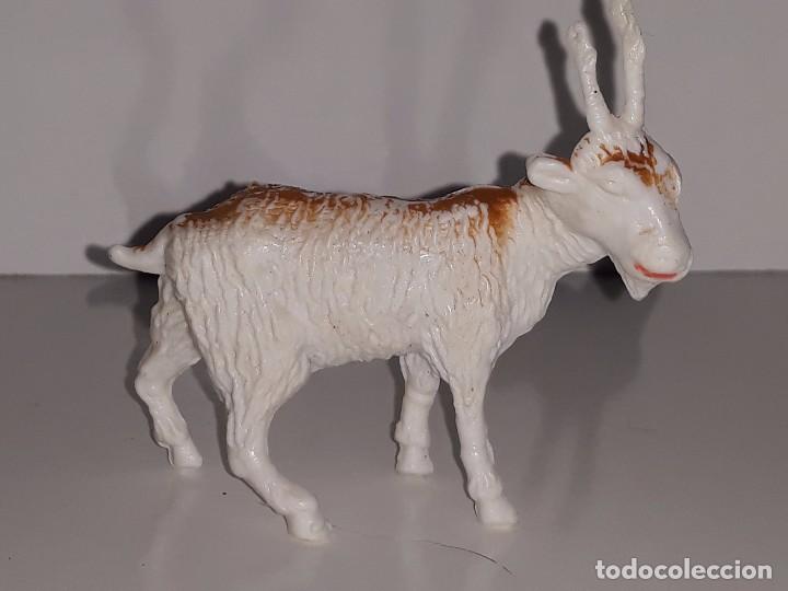 Figuras de Bel&eacute;n: OLIVER : ANTIGUAS FIGURA ANIMAL CABRA MONTESA  - NACIMIENTO - BELEN A&Ntilde;OS 70