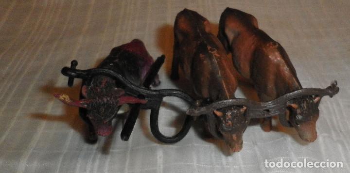 Figuras de Bel&eacute;n: bueyes para el belen - Foto 1