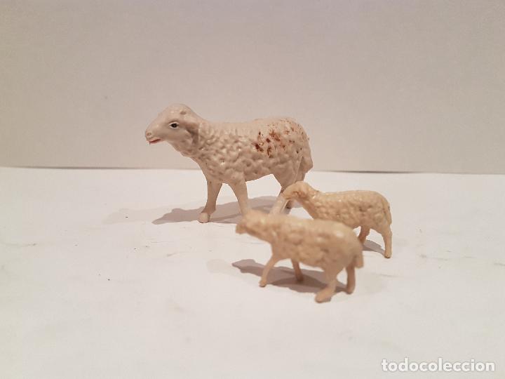 Figuras de Pres&eacute;pios: antigua figura del belen ovejas nacimiento a&ntilde;os 60/70 PVC buen estado ver fotos