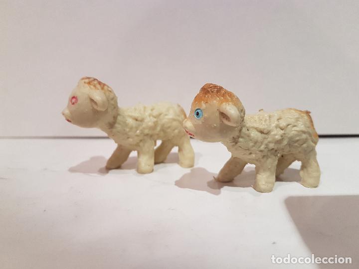 Figuras de Pres&eacute;pios: antigua figura del belen ovejas corderos nacimiento a&ntilde;os 60/70 PVC buen estado ver fotos