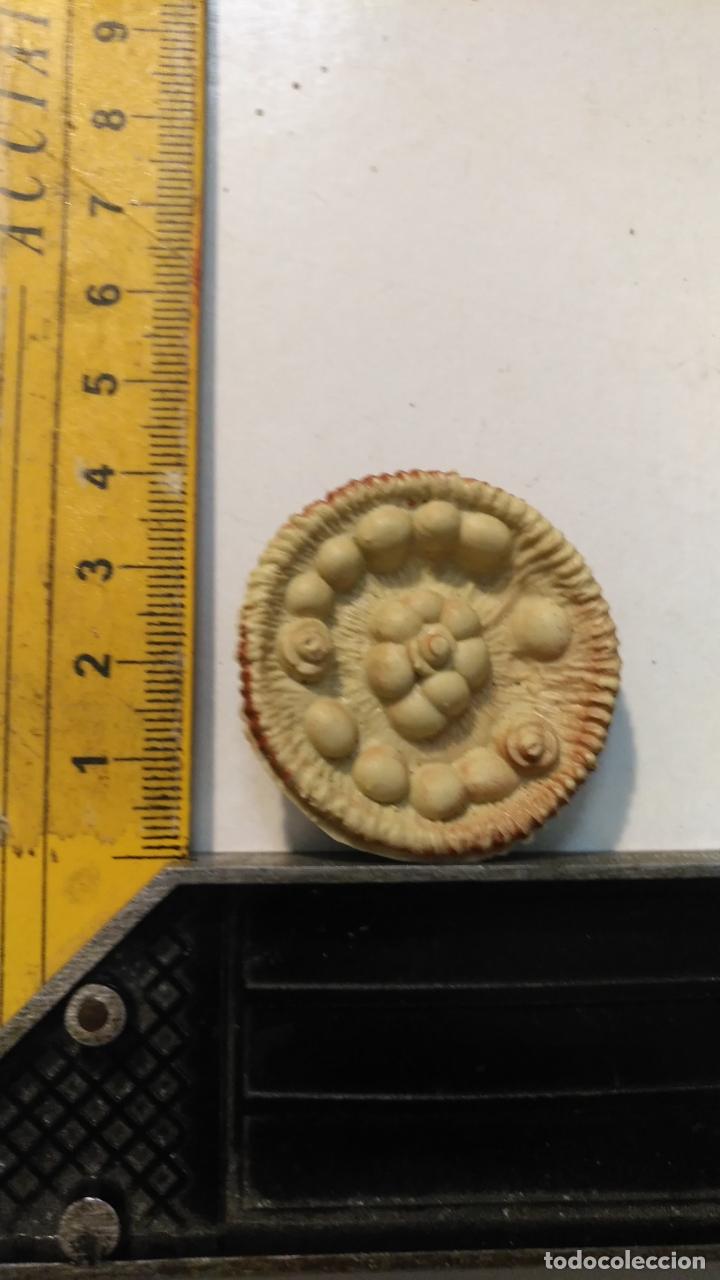 Figuras de Bel&eacute;n: antigua figura de portal de belen plastico duro - ver tama&ntilde;o en foto , envios combinados + en tienda
