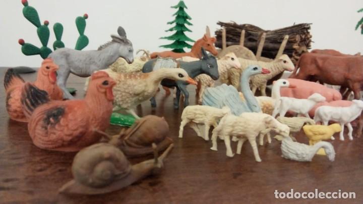 Figurines pour Cr&egrave;ches de No&euml;l: Lote variado Fauna y flora ver fotos