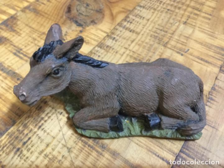 Figuren f&uuml;r Weihnachtskrippen: BURRO - FIGURA DE BEL&Eacute;N - FABRICADO EN RESINA