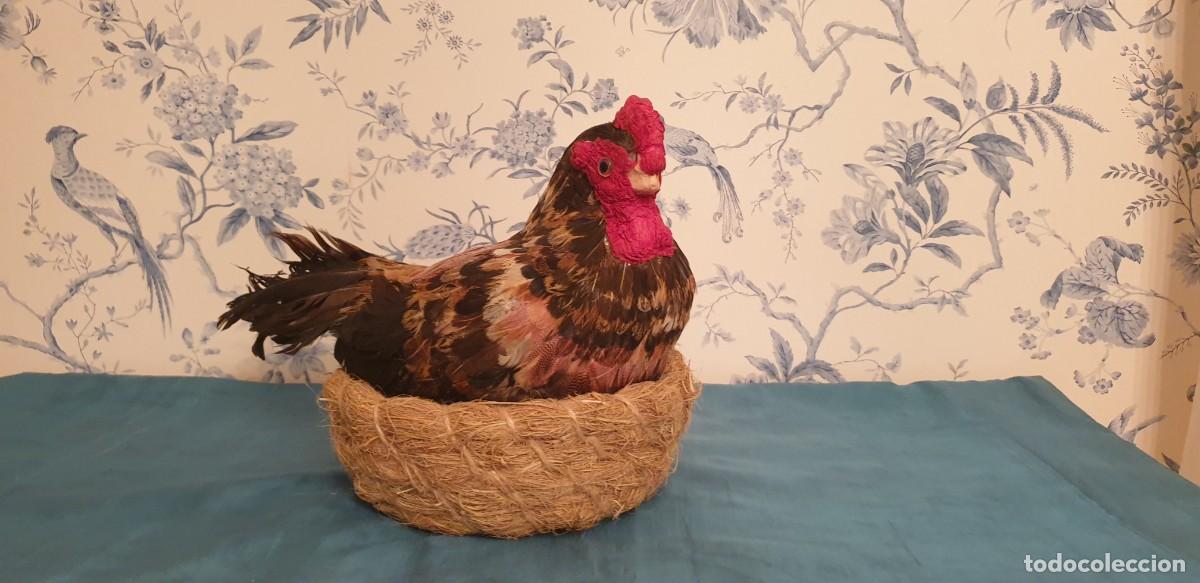 Figuras de Bel&eacute;n: Gallina - Foto 1