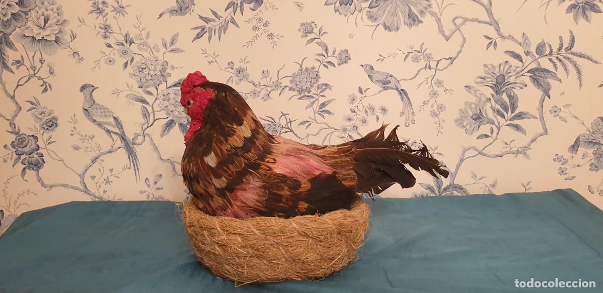 Figuras de Bel&eacute;n: Gallina - Foto 2