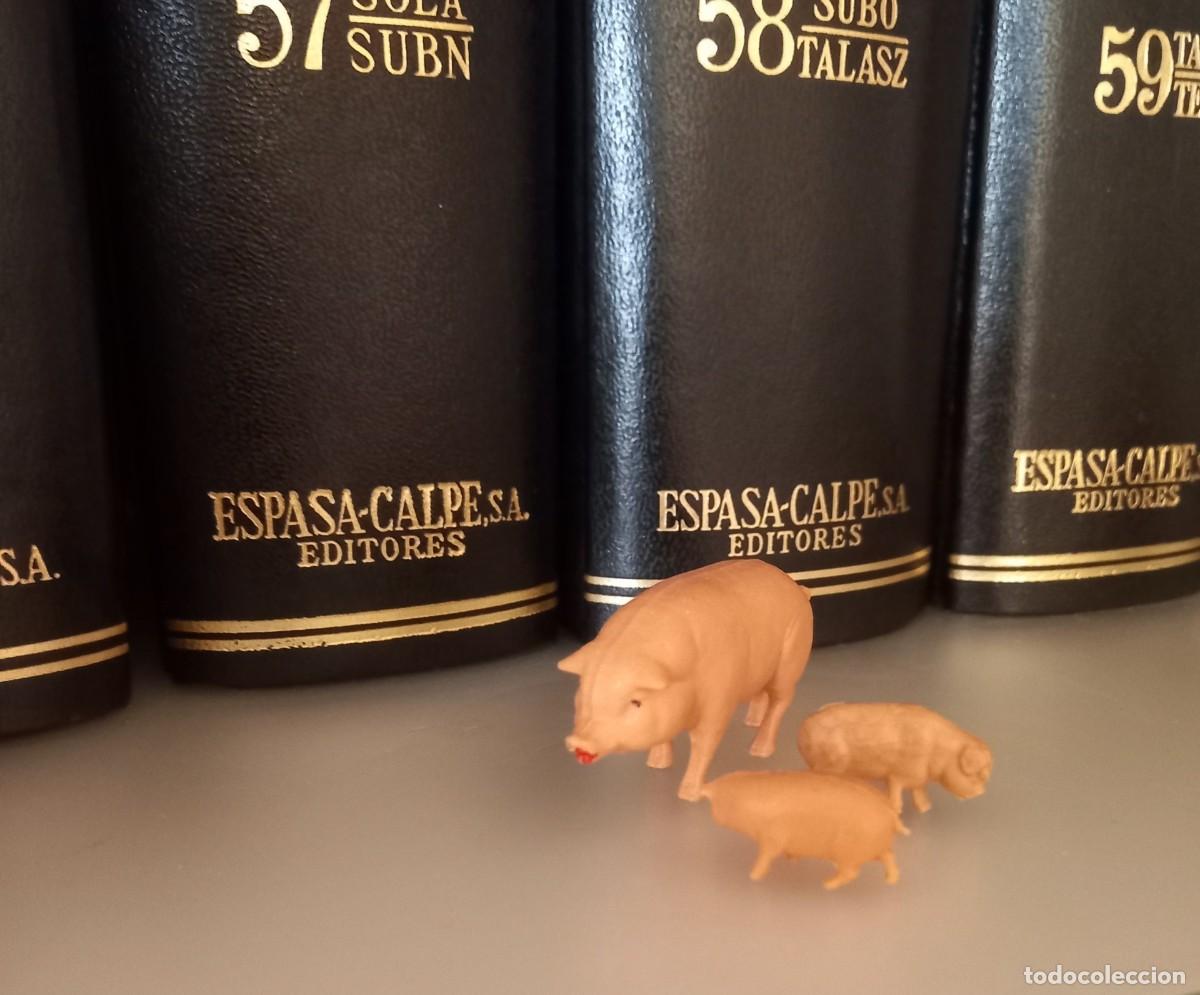 Figuras de Bel&eacute;n: CERDITOS PARA EL BELEN - Foto 1