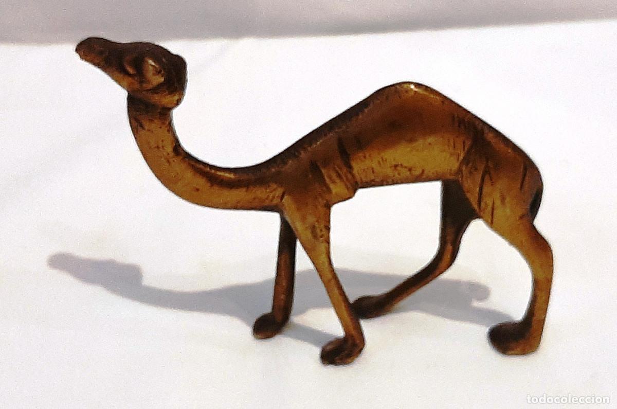 Figuras de Bel&eacute;n: Figura de camello de lat&oacute;n - Foto 1