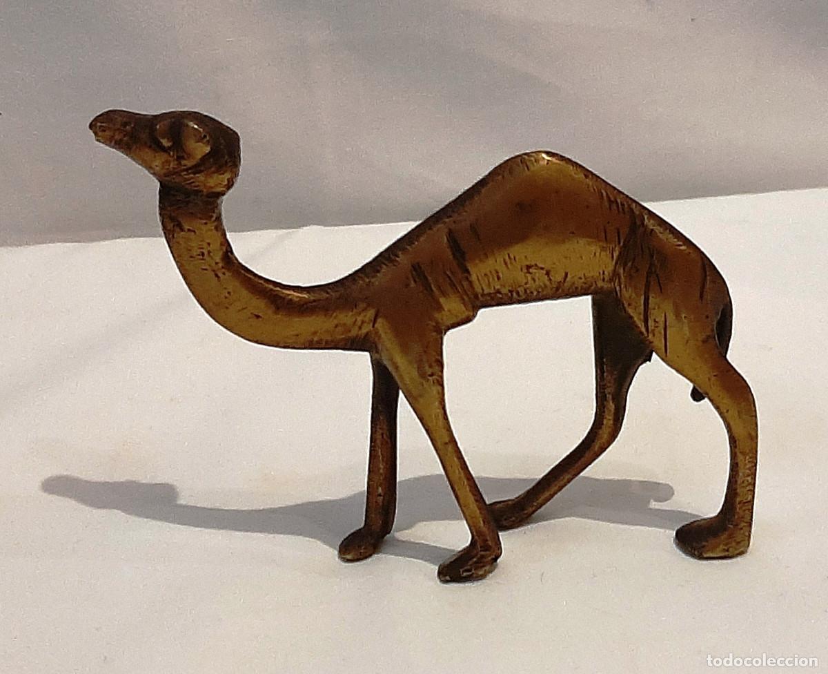 Figuras de Bel&eacute;n: Figura de camello de lat&oacute;n - Foto 2