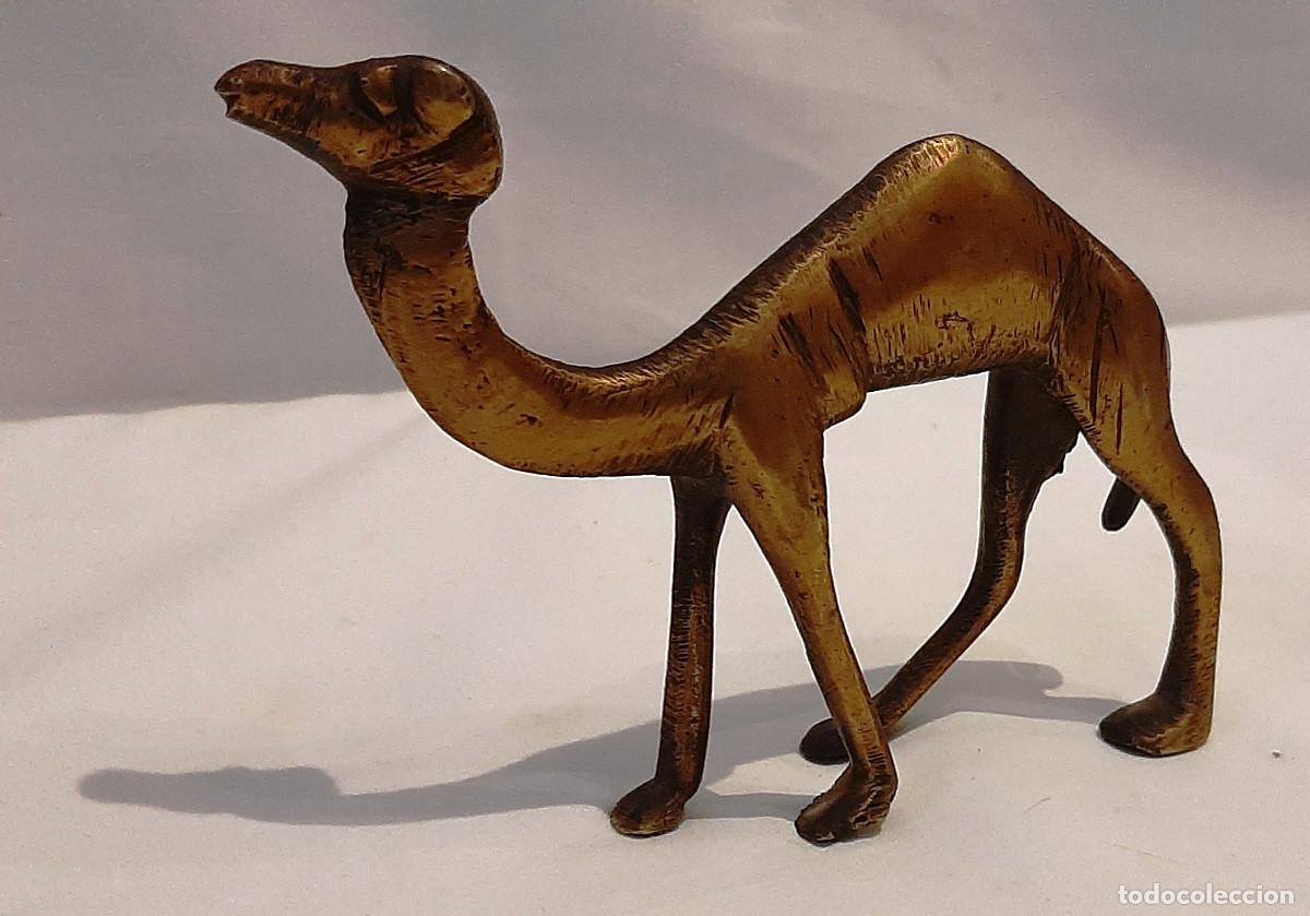 Figuras de Bel&eacute;n: Figura de camello de lat&oacute;n - Foto 3