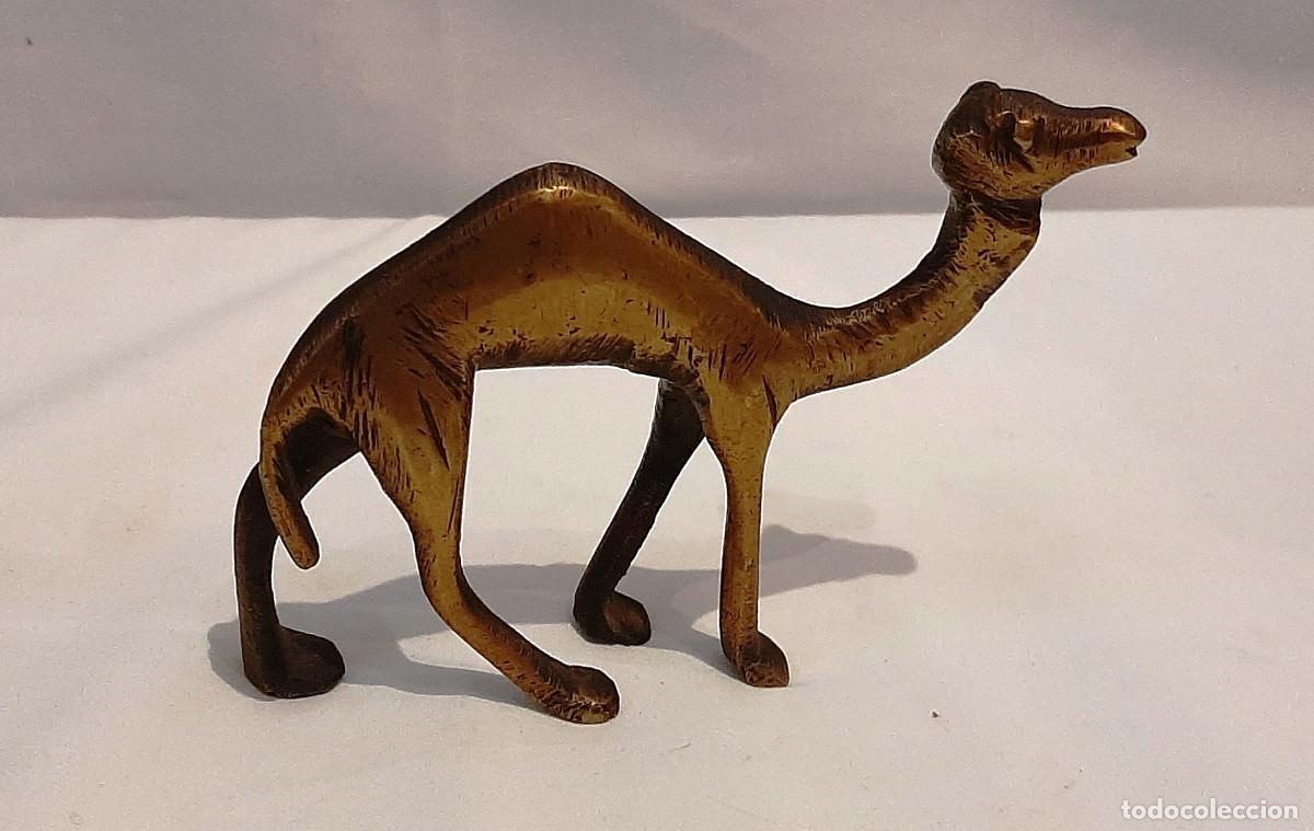 Figuras de Bel&eacute;n: Figura de camello de lat&oacute;n - Foto 4