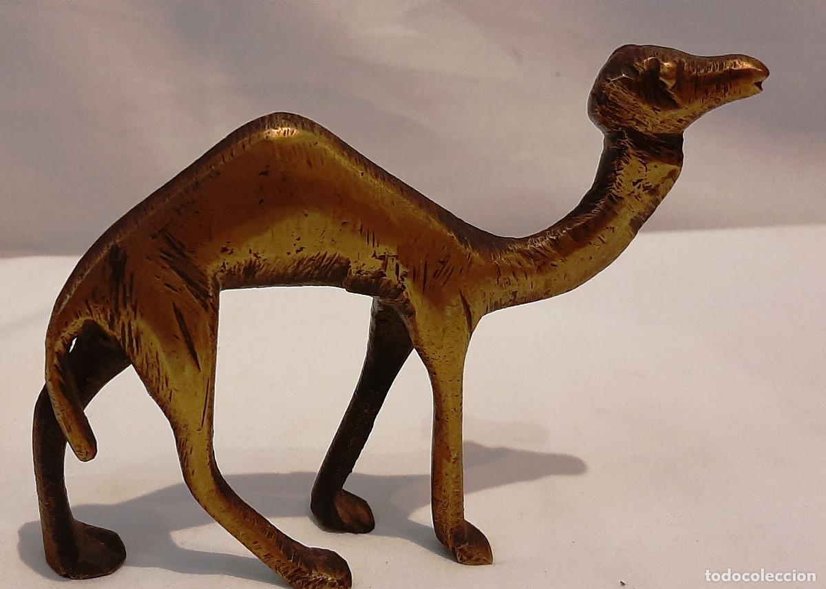 Figuras de Bel&eacute;n: Figura de camello de lat&oacute;n - Foto 6