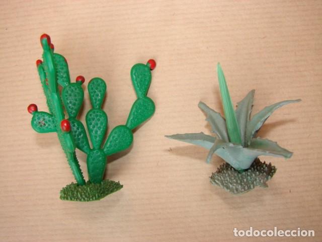 Figuras de Bel&eacute;n: 2 C&Aacute;CTUS : CHUMBERA Y PITA - Foto 1