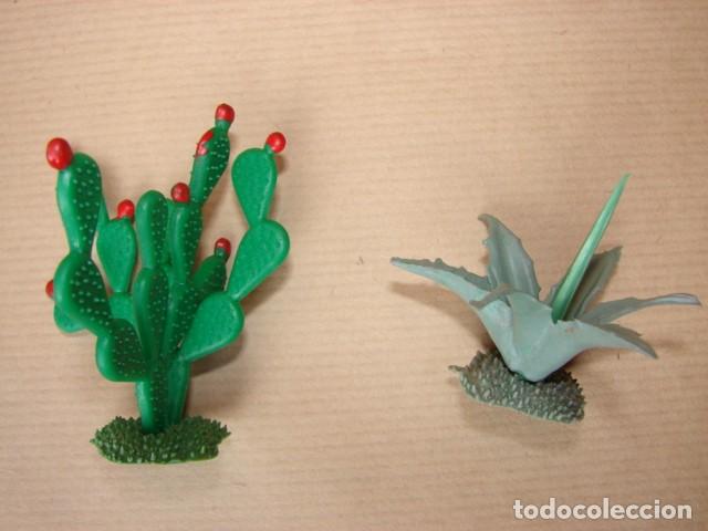 Figuras de Bel&eacute;n: 2 C&Aacute;CTUS : CHUMBERA Y PITA - Foto 3