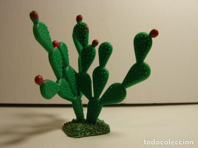 Figuras de Bel&eacute;n: 2 C&Aacute;CTUS : CHUMBERA Y PITA - Foto 4