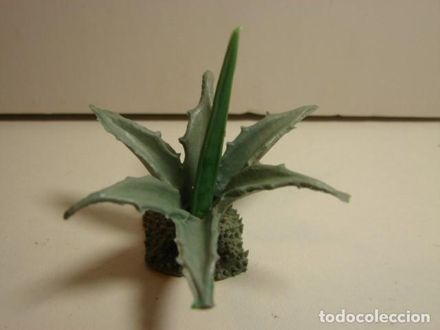 Figuras de Bel&eacute;n: 2 C&Aacute;CTUS : CHUMBERA Y PITA - Foto 5