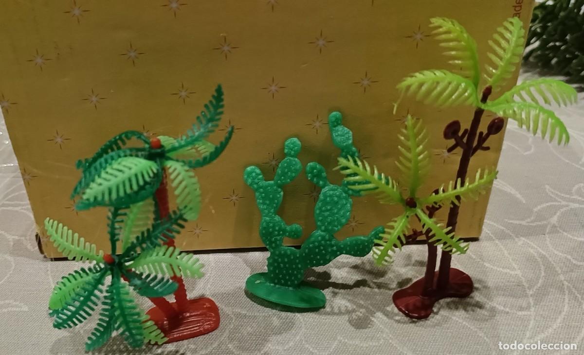 Figuras de Bel&eacute;n: BEL&Eacute;N. Vegetacion Chumbera - Foto 2