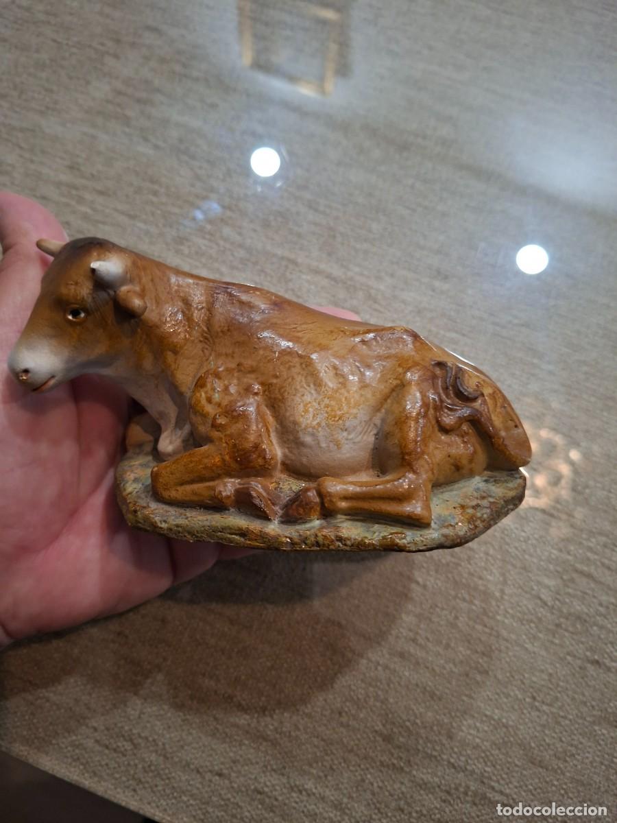 Figuras de Bel&eacute;n: FIGURA BELEN BUEY IGNORO MATERIAL