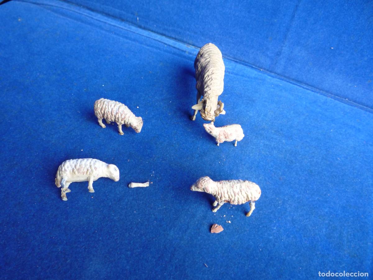 Figuras de Bel&eacute;n: LOTE 5 OVEJAS NACIMIENTO