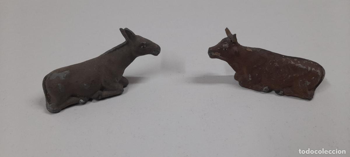Figuras de Bel&eacute;n: LA MULA Y EL BUEY . ANTIGUAS FIGURAS DE BELEN REALIZADAS EN PLOMO . ORIGINALES A&Ntilde;OS 40